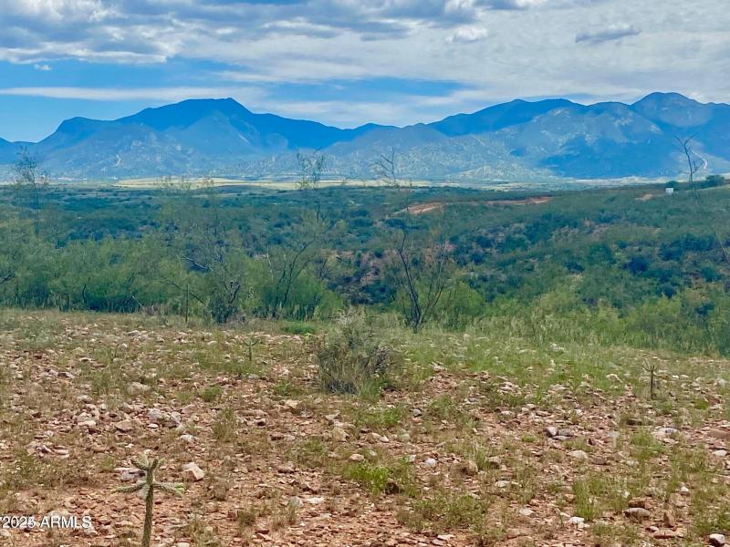 20240819064028555993000000-o