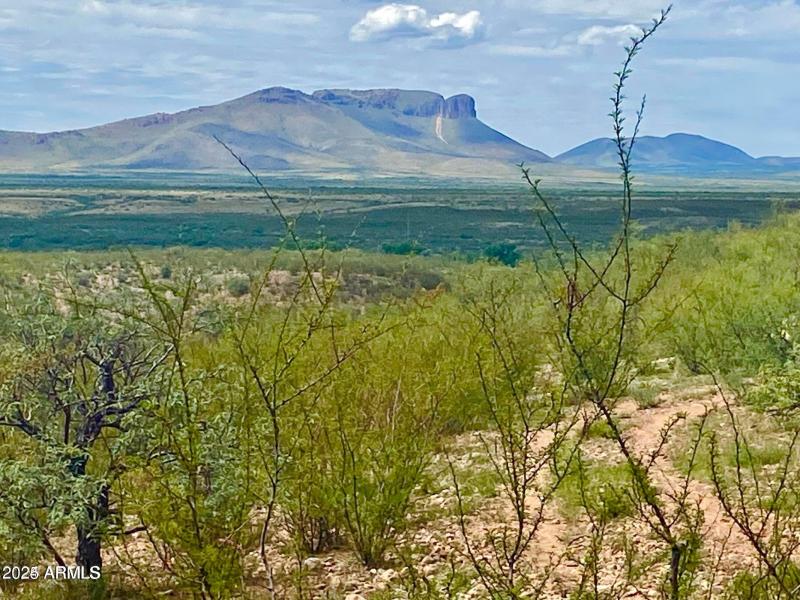 20240819062813248677000000-o