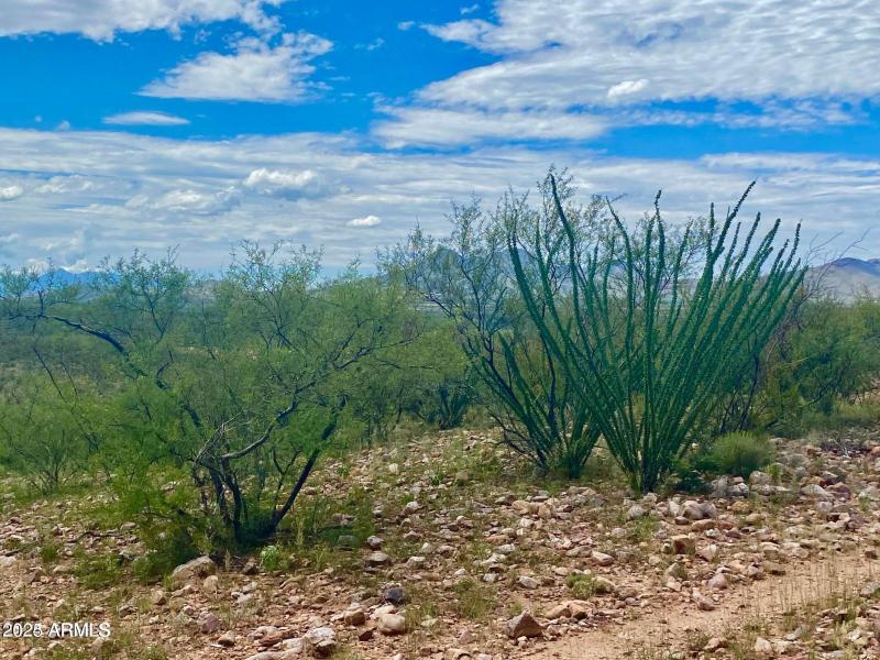 20240819062929660075000000-o