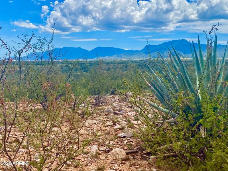 20240819063054884797000000-o