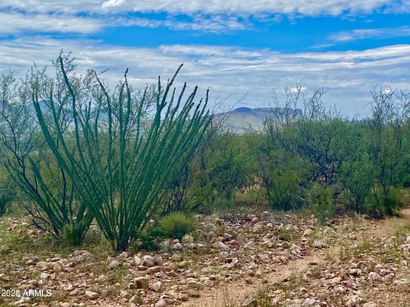 20240819063313935369000000-o