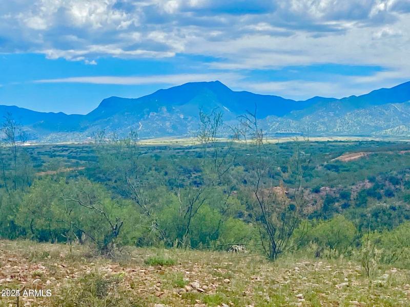 20240819063900139711000000-o