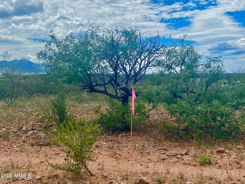 20240819064226498477000000-o