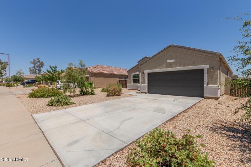 03 - Sunflower 11303