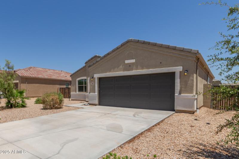 04 - Sunflower 11303