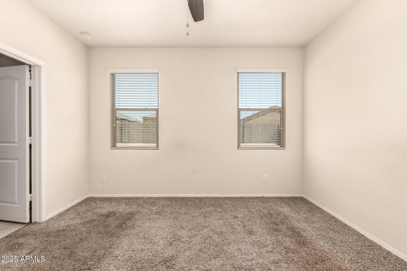 17 - Sunflower 11303