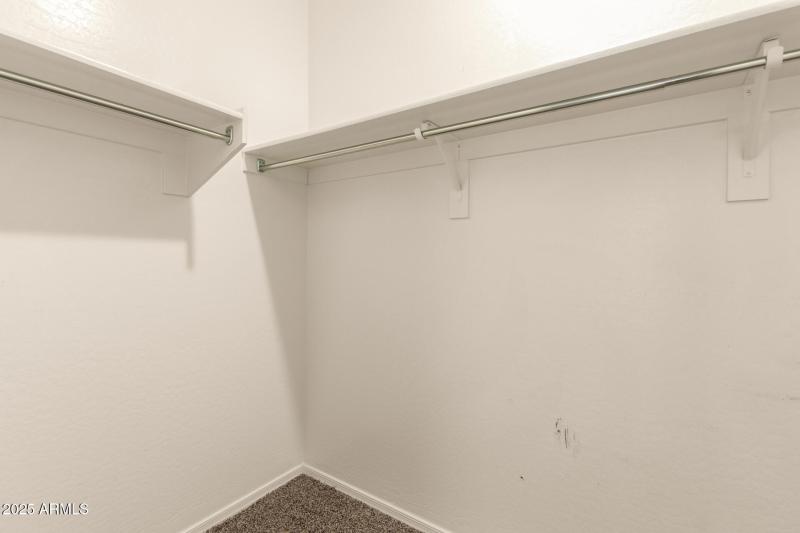 20 - Sunflower 11303