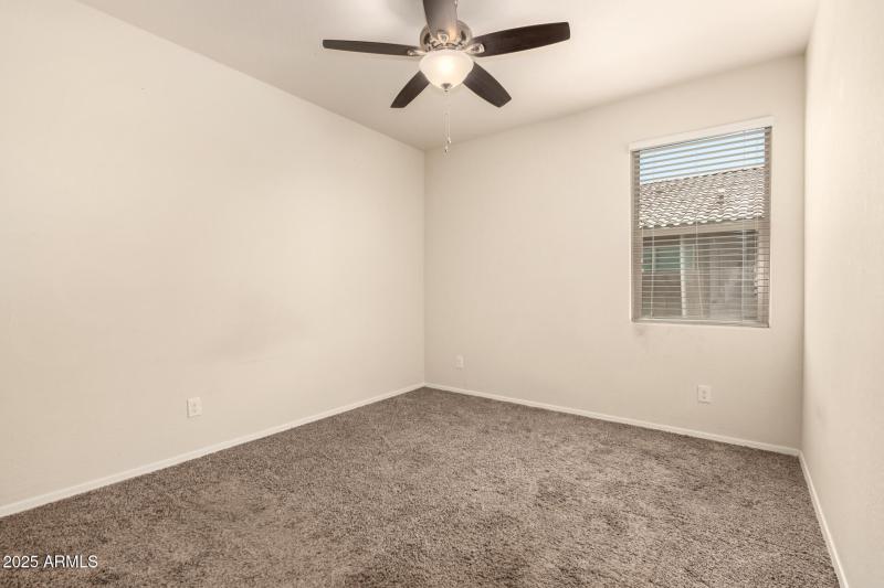 21 - Sunflower 11303