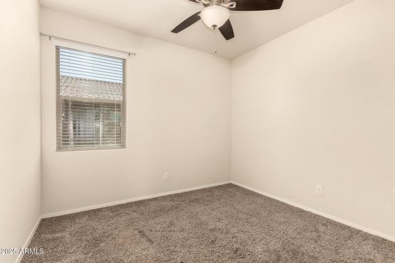 23 - Sunflower 11303