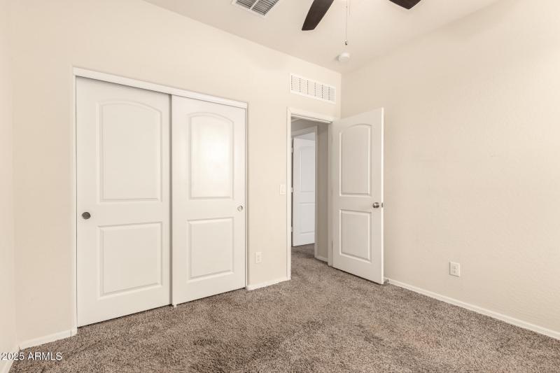 24 - Sunflower 11303