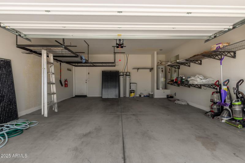 27 - Sunflower 11303