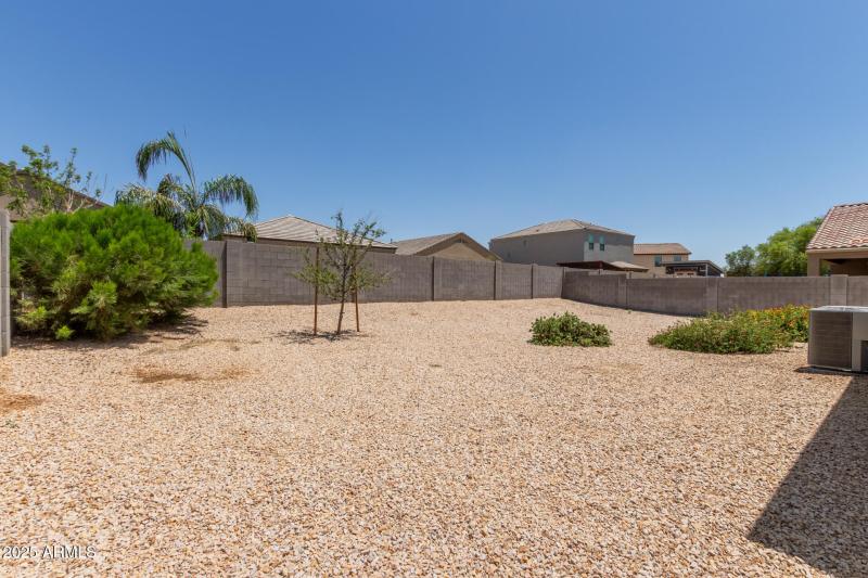 29 - Sunflower 11303