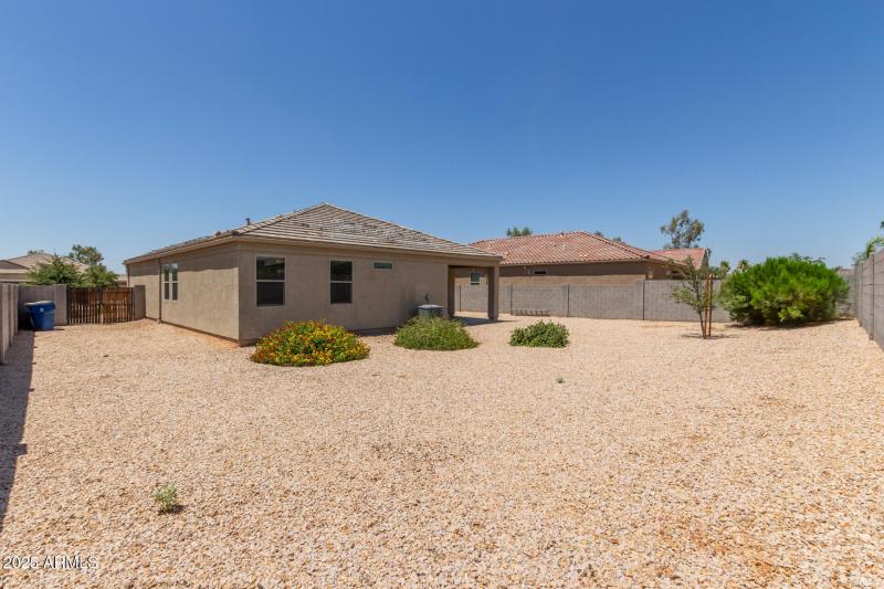 31 - Sunflower 11303