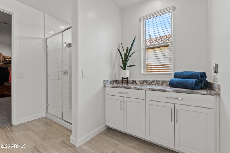Storage area in Primary Bath Poinsettia