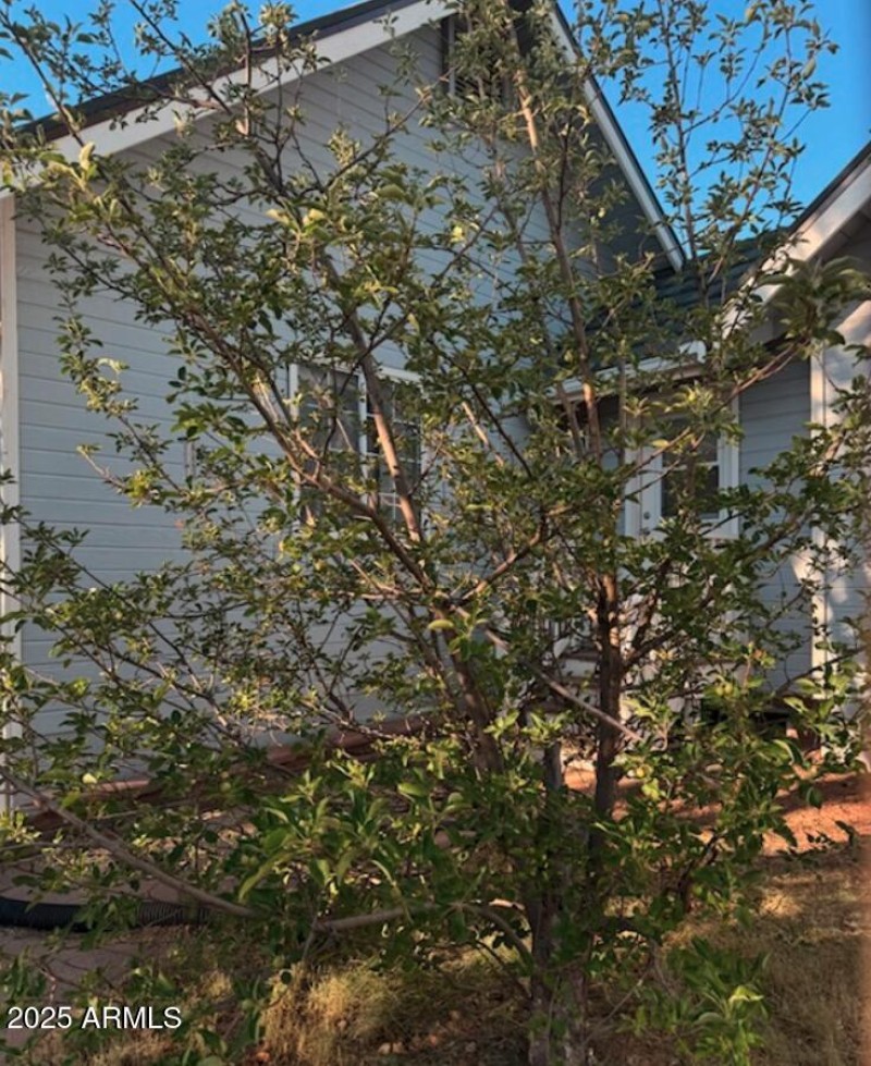 Fruit Trees
