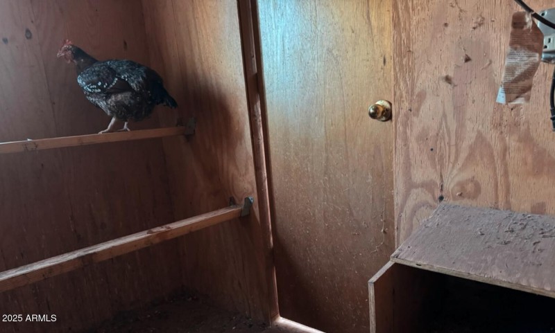 Chicken Coop
