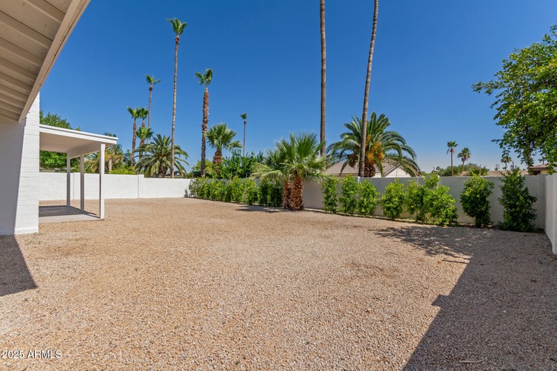 Backyard