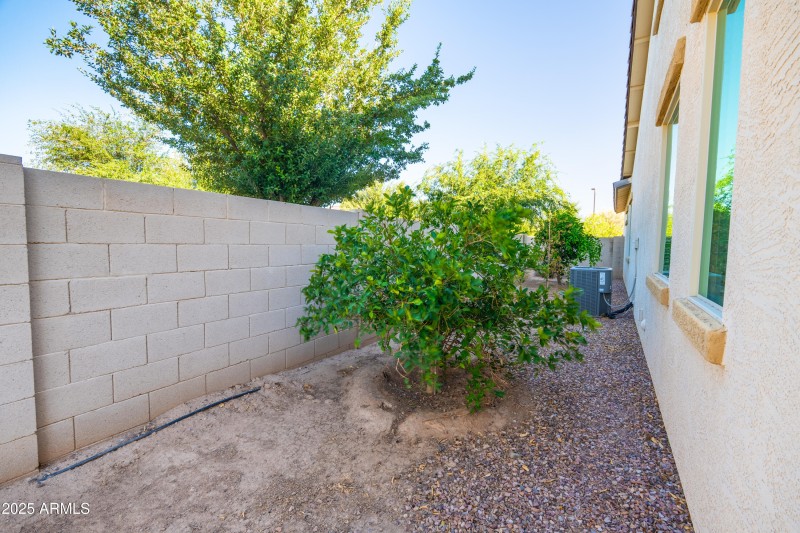 large east side yard