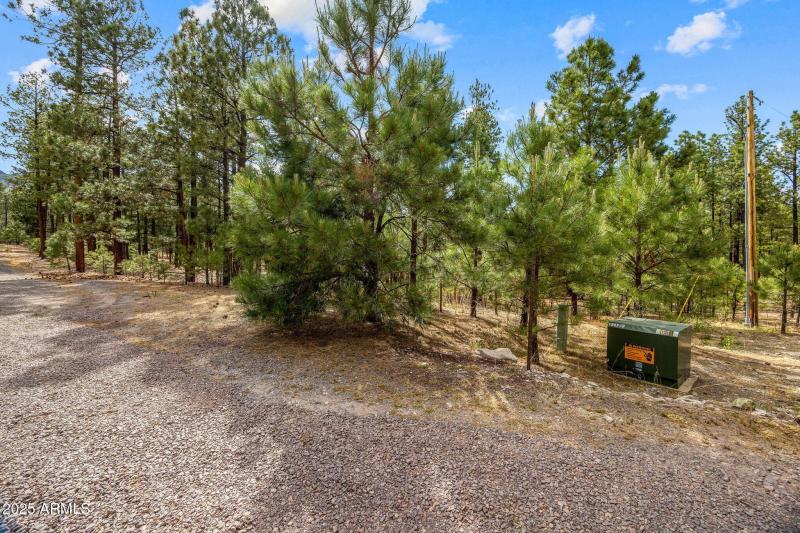 CountyRoad2325-Alpine-AZ-1