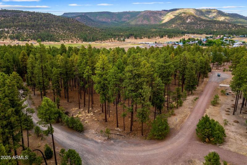 CountyRoad2325-Alpine-AZ-7