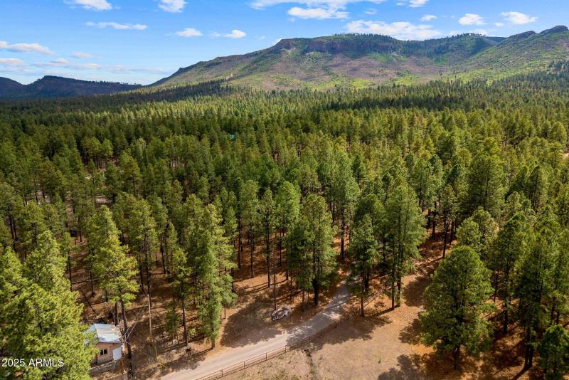 CountyRoad2325-Alpine-AZ-9