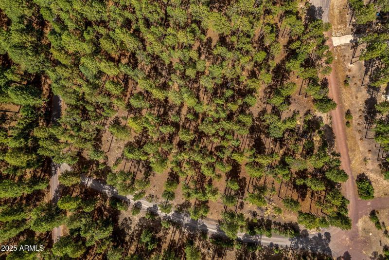 CountyRoad2325-Alpine-AZ-11