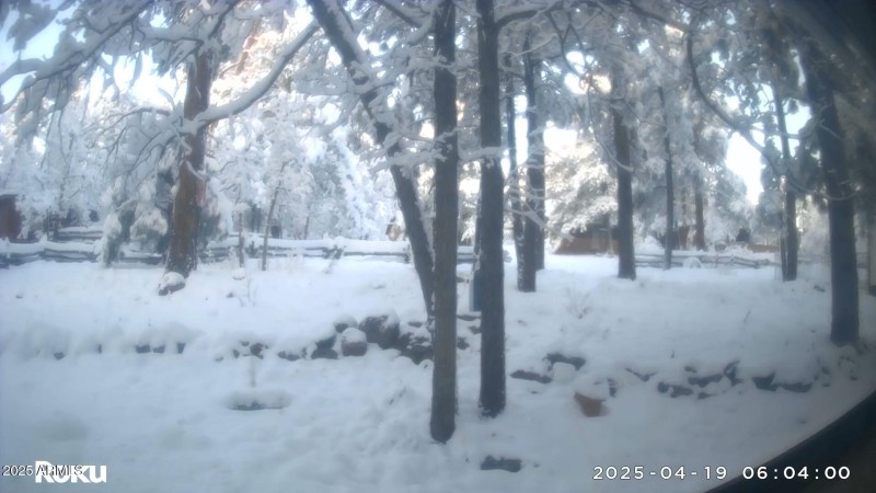 Winter Time