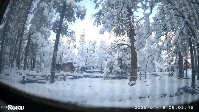 Winter Time