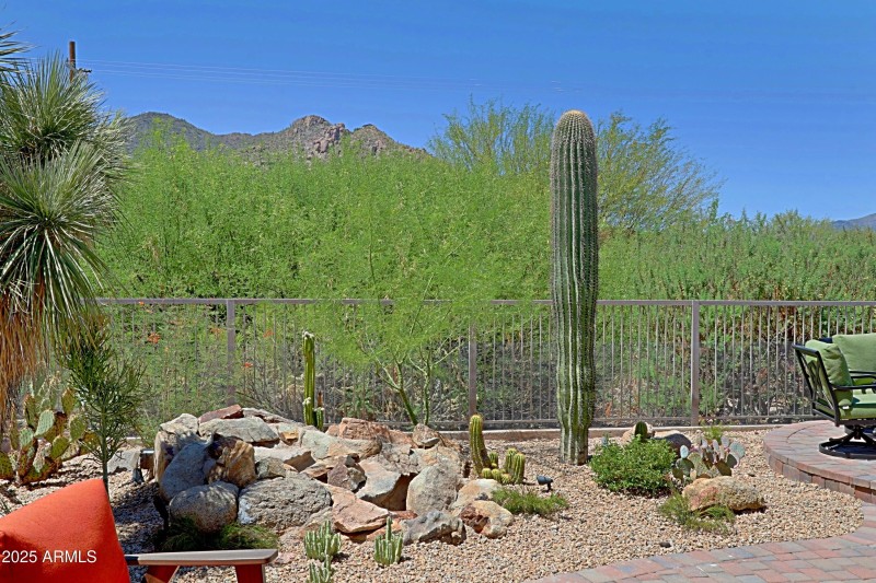 Backyard 3