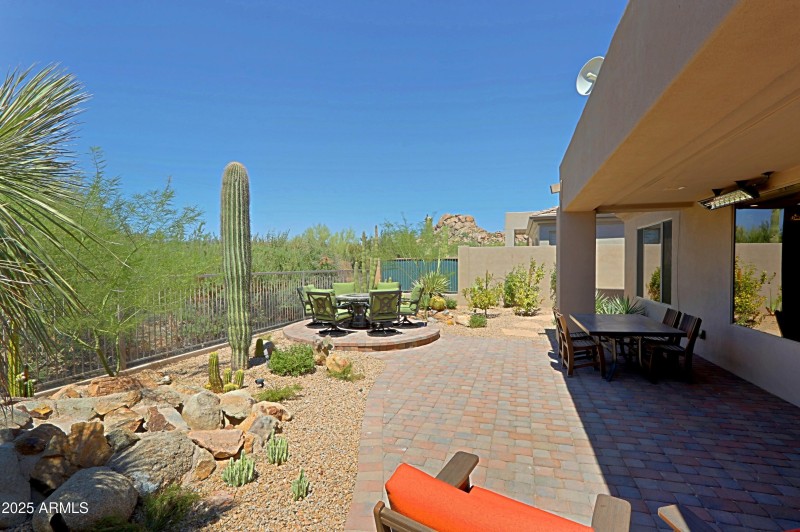 Backyard 4