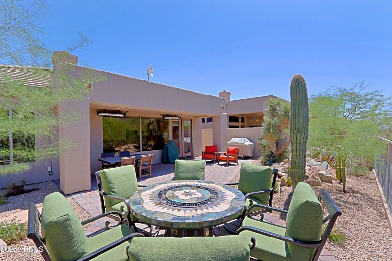 Backyard 8
