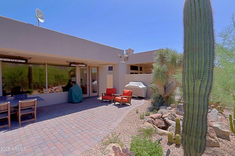 Backyard 10
