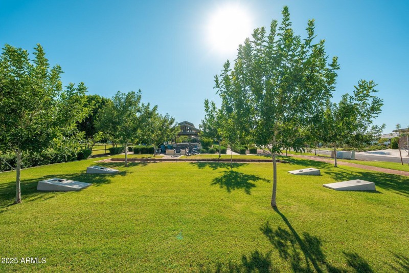 Caleda by Toll Brothers - 08