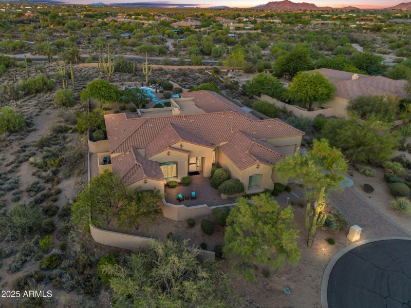 Sonoran desert beauty!