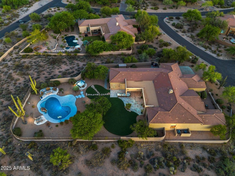 Wow! Look at the saguaros lit up!