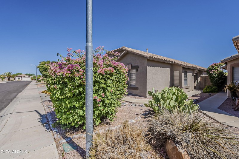 4-web-or-mls-Saguaro-4