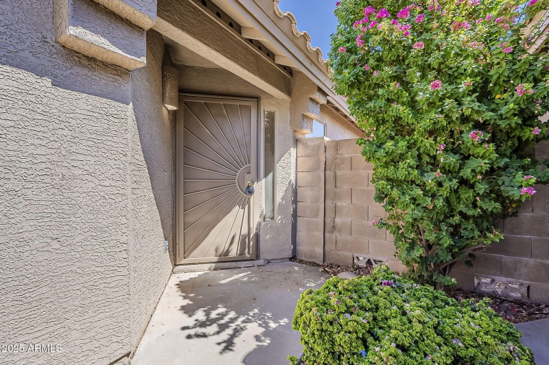 5-web-or-mls-Saguaro-5