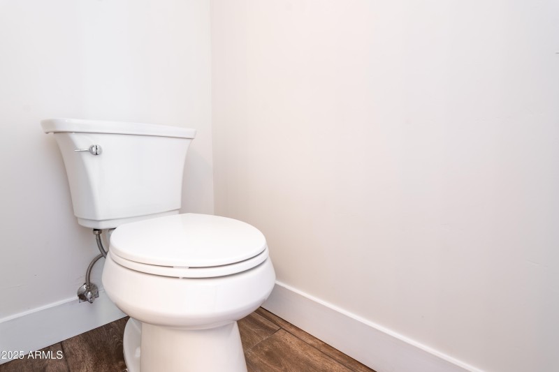 Master Toilet