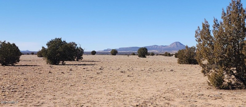 Screenshot 2025-06-30 191226