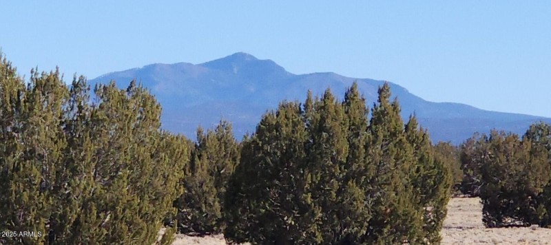 Screenshot 2025-06-30 191133