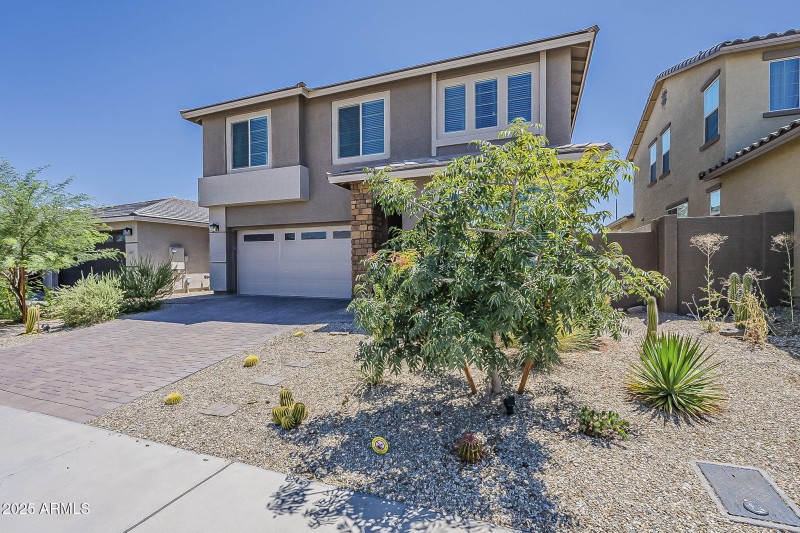 Front Yard & Desert Landscaping