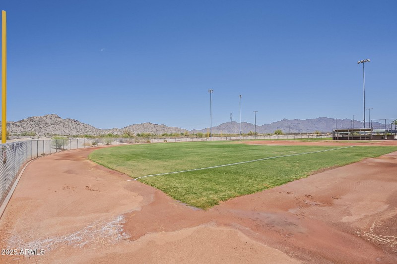 Goodyear Ballpark Outfield View