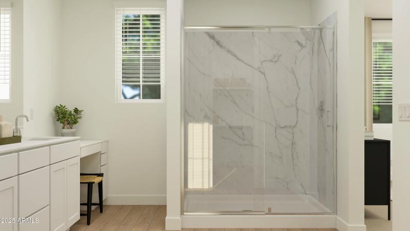 Owner's Bath