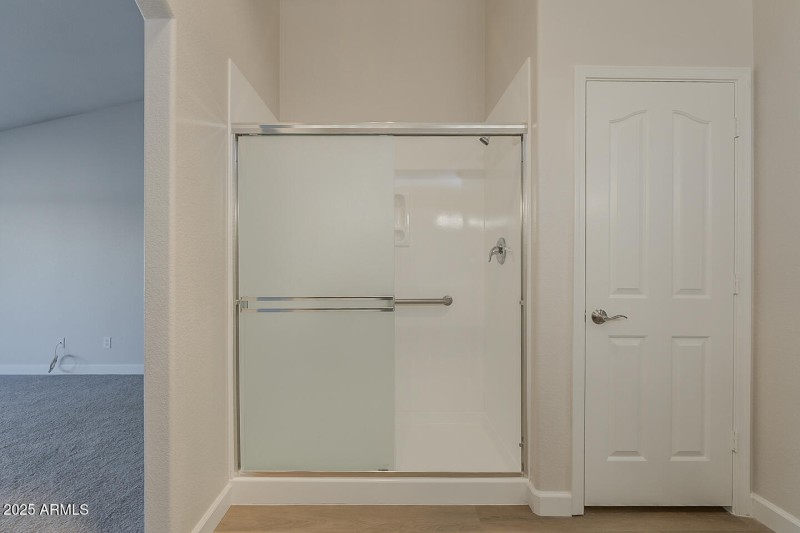 Primary Shower