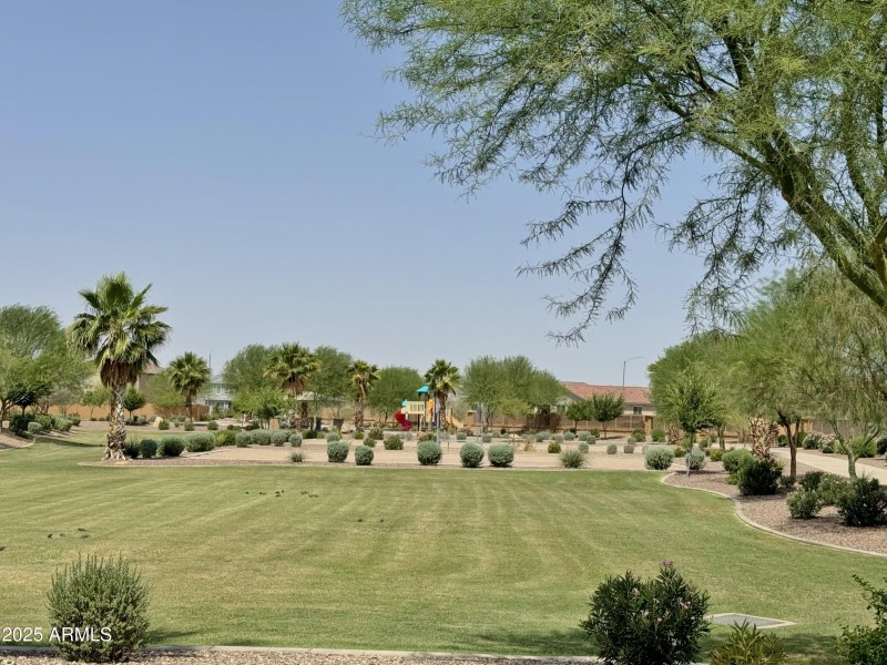 Soccer/play field