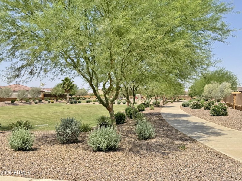 Walking paths