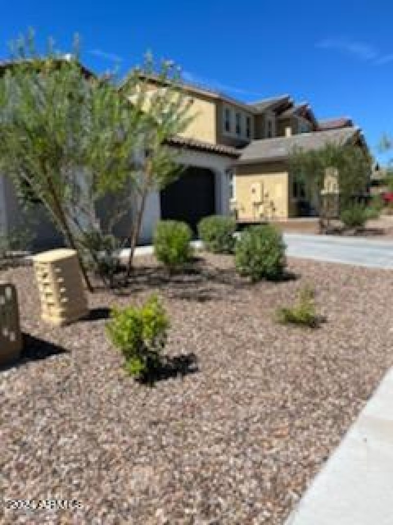 Trees bushes trimmed 3 8.5.22