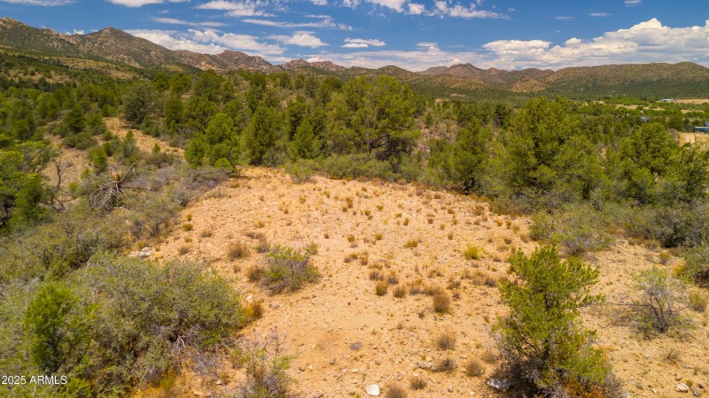 Peeples Valley 43 Acres