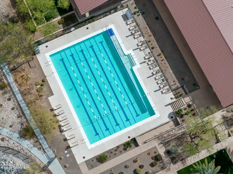 Swim!