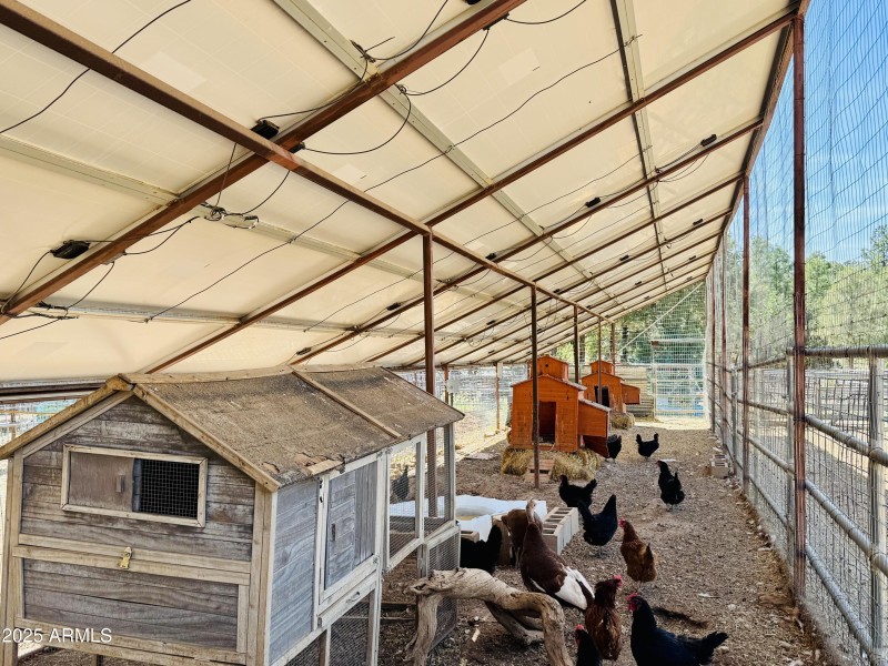Chicken coop
